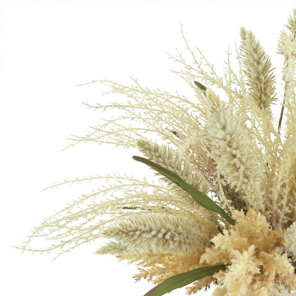 Pampas, Pennisetum In Decorative Ceramic Vase