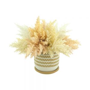 Pampas In Decorative Ceramic Pot