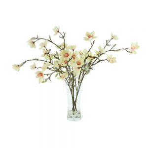 Butterfly Magnolia In Glass Vase