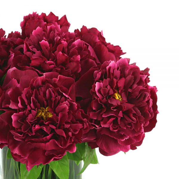 Peonies In Vase