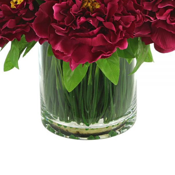 Peonies In Vase