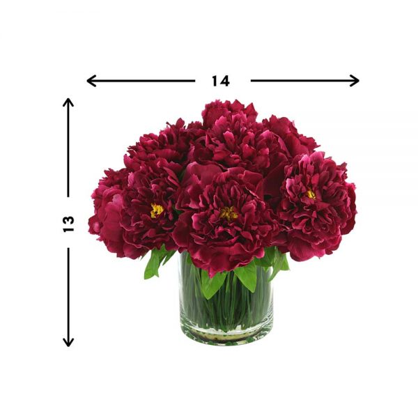 Peonies In Vase