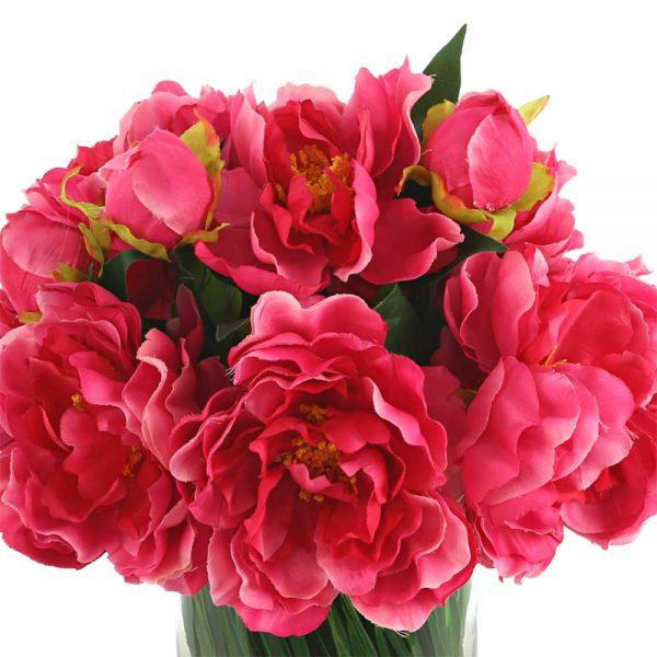 Peonies In Vase