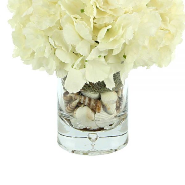 Hydrangea In Vase With Shells