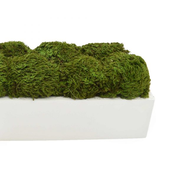 Rectangular Moss Arrangement