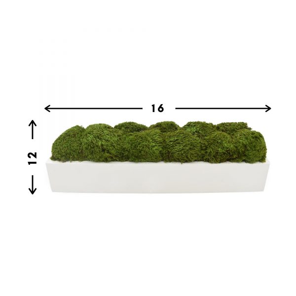 Rectangular Moss Arrangement