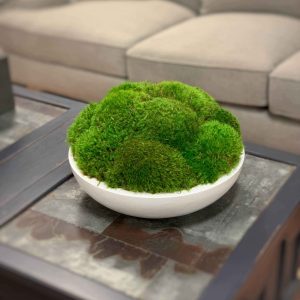 Round Moss Arrangement