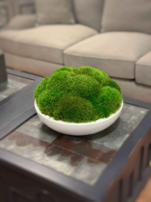 Round Moss Arrangement