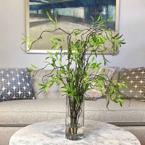 Willow Branches in Glass