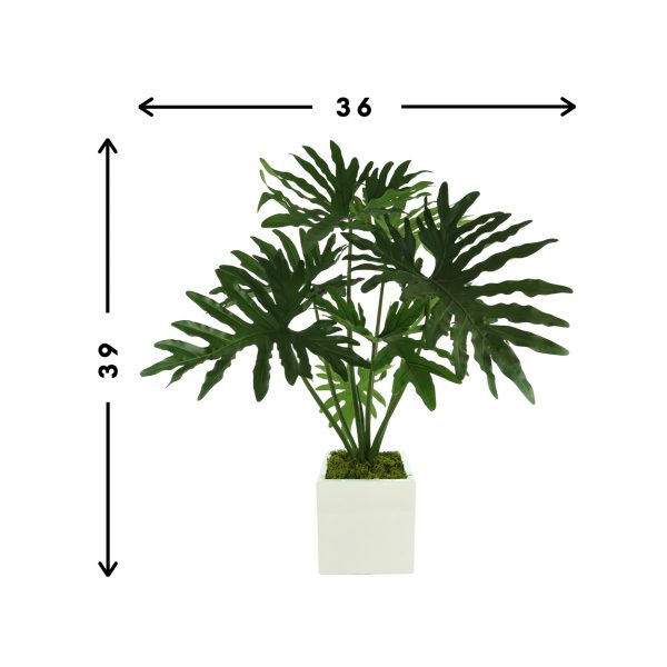Philoplant in Fiberstone Pot - Image 2