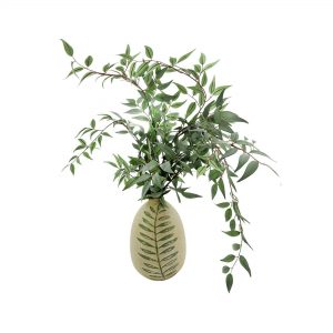 Italian Ruscus in Ceramic Vase