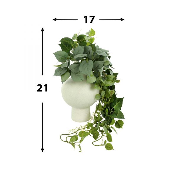Ivy Arranged in Round Ceramic Vase