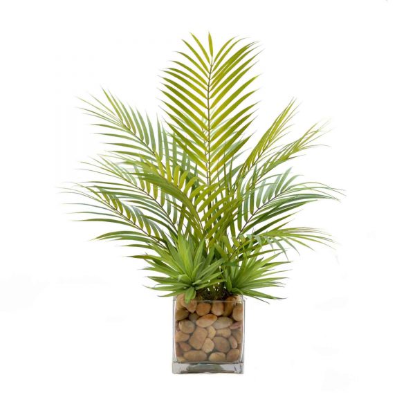 Palm Leaf & Cactus Plant - Image 4
