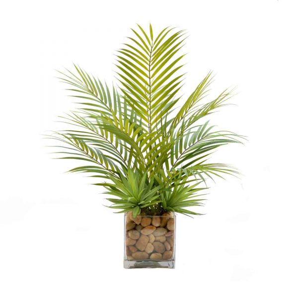Palm Leaf & Cactus Plant