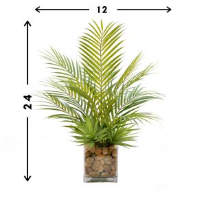 Palm Leaf & Cactus Plant