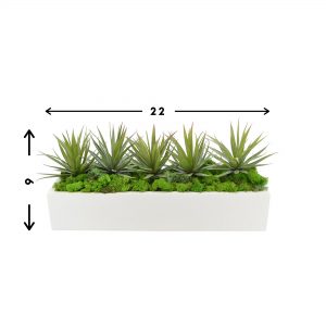 Spiked Cactus Arrangement in Rectangular Planter
