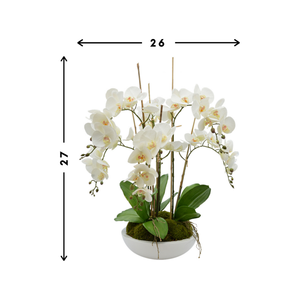 Orchid Arrangement in Fiberstone Pot with Moss - Image 3