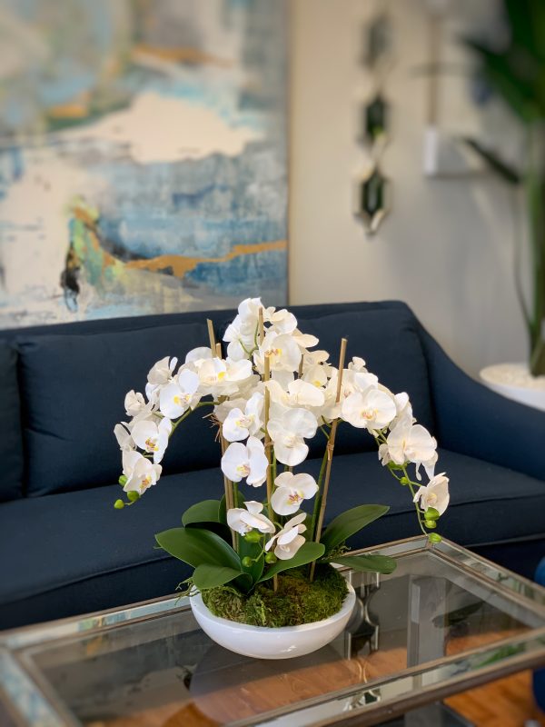 Orchid Arrangement in Fiberstone Pot with Moss - Image 6