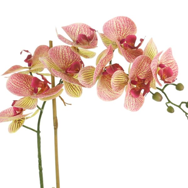 Orchid Arrangement in Gold Pot with Rocks - Image 4