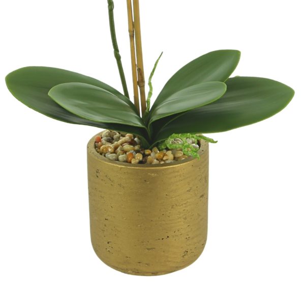 Orchid Arrangement in Gold Pot with Rocks - Image 3