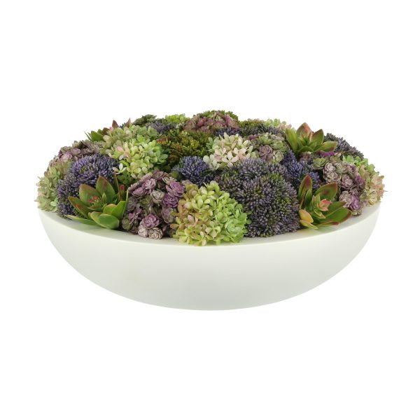 Assorted Sedum with Succulents and Snowball Hydrangeas