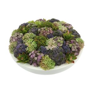 Assorted Sedum with Succulents and Snowball Hydrangeas