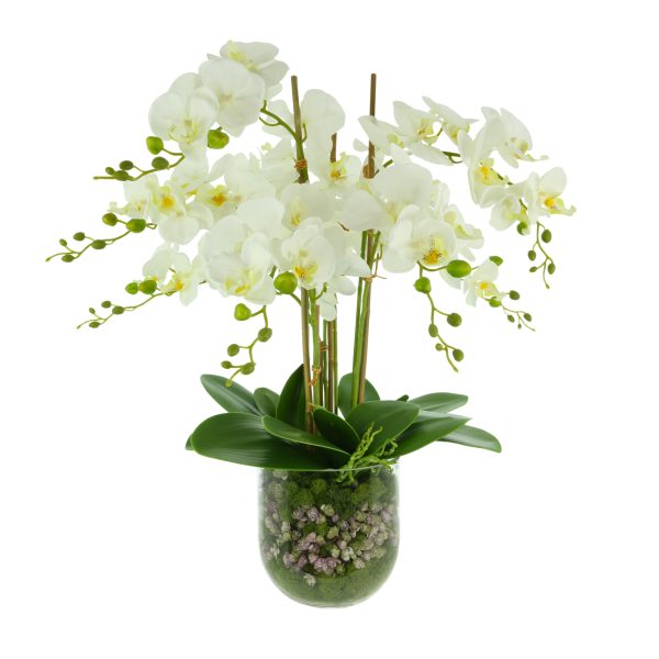 Organic Modern Orchid Arrangement with Moss and Rocks