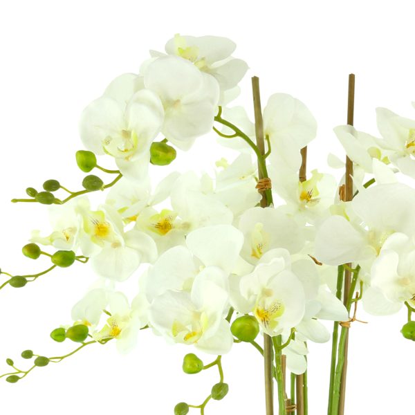 Organic Modern Orchid Arrangement with Moss and Rocks - Image 4