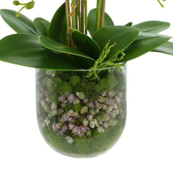 Organic Modern Orchid Arrangement with Moss and Rocks - Image 5