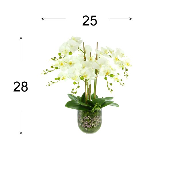 Organic Modern Orchid Arrangement with Moss and Rocks - Image 3