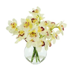Orchids Arranged in Glass Vase