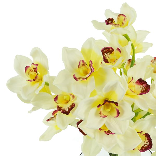 Orchids Arranged in Glass Vase - Image 4