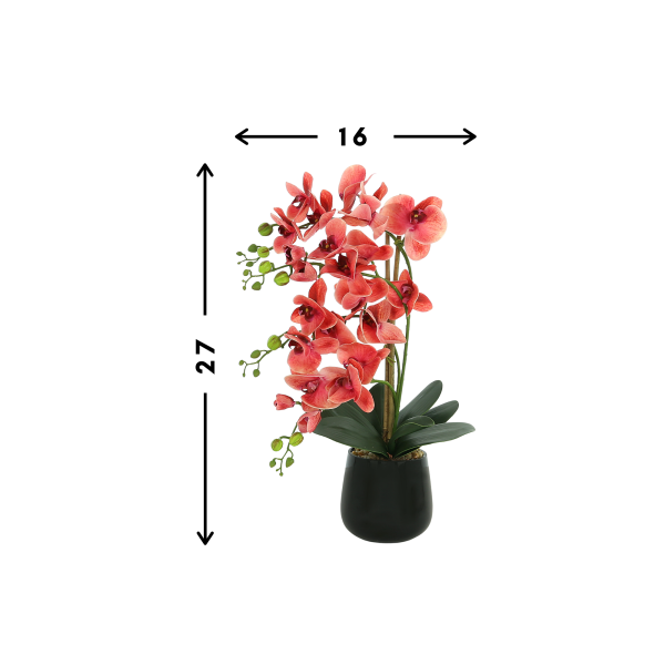 Orchid Arrangement in Glass Vase - Image 3