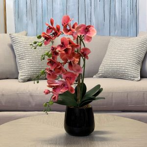 Orchid Arrangement in Glass Vase