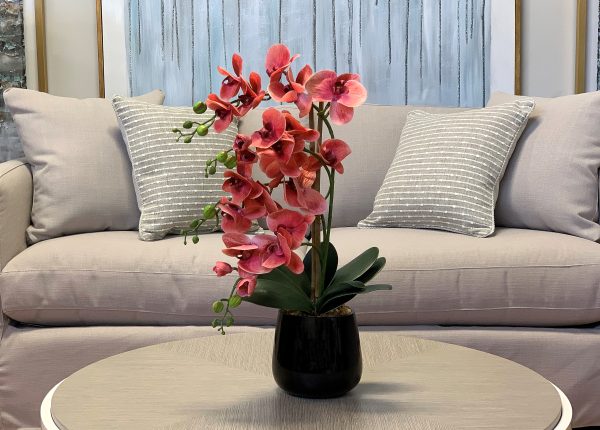 Orchid Arrangement in Glass Vase - Image 2
