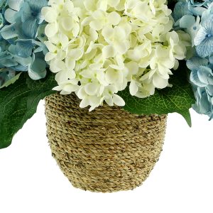 Hydrangeas Arranged in Straw Grass Pot