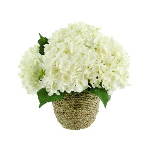 Hydrangeas Arranged in Straw Grass Pot