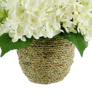 Hydrangeas Arranged in Straw Grass Pot