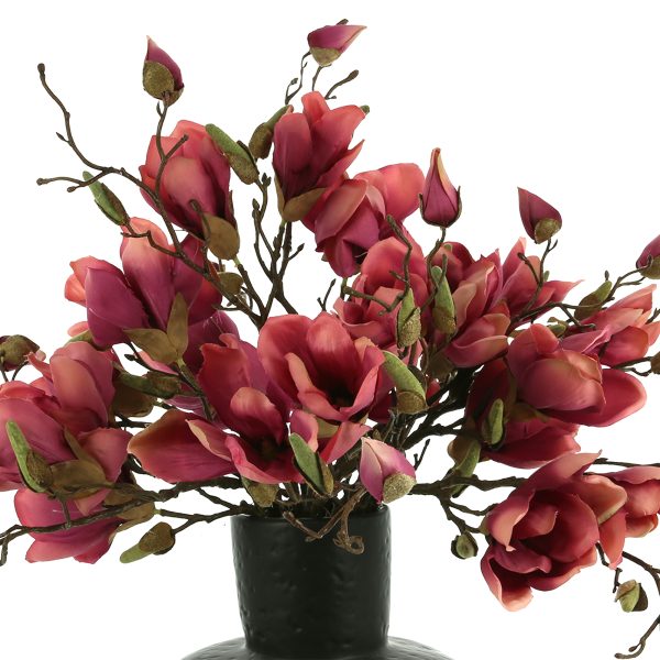 Magnolias Arranged in Ceramic Vase - Image 4