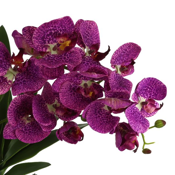 Orchid Arrangement in Mirrored Glass Vase - Image 4