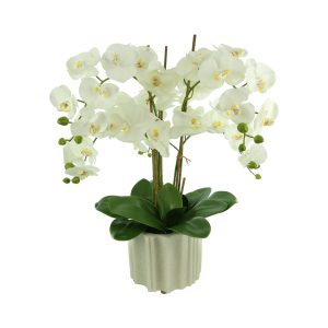 Orchid Arrangement in Stone Vase