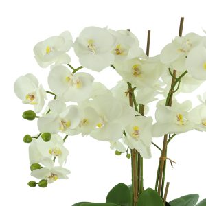 Orchid Arrangement in Stone Vase