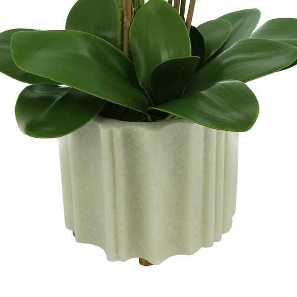 Orchid Arrangement in Stone Vase - Image 4