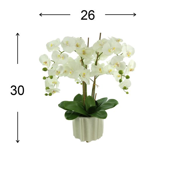 Orchid Arrangement in Stone Vase - Image 3