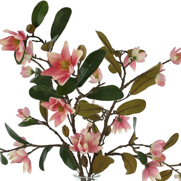 Magnolia Arrangement in Glass Vase - Image 3