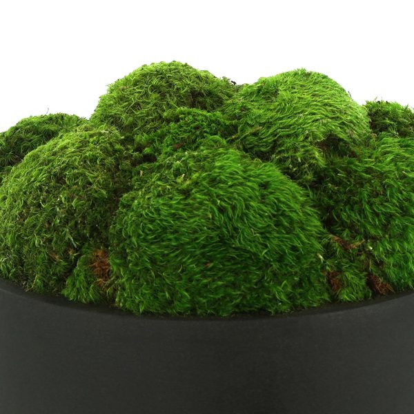 Preserved Moss in Fiberstone Planter - Image 5