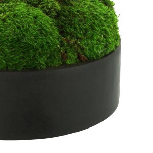 Preserved Moss in Fiberstone Planter