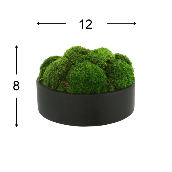 Preserved Moss in Fiberstone Planter - Image 4