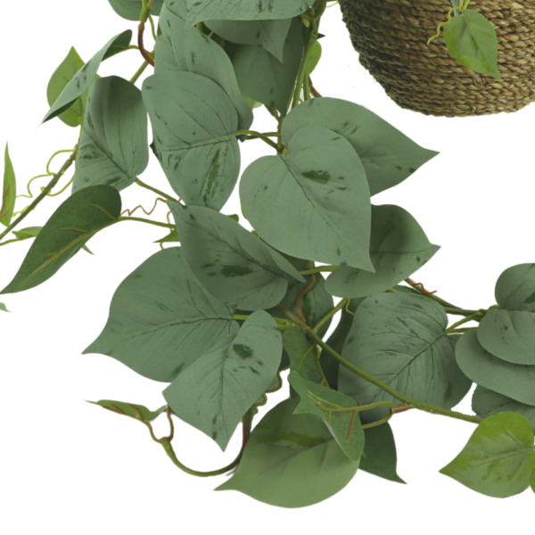 Frosted Ivy Arranged in Rope Pot - Image 3