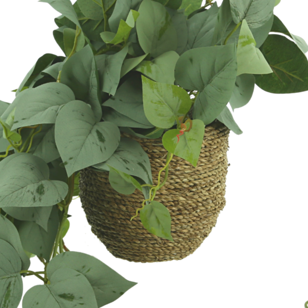 Frosted Ivy Arranged in Rope Pot - Image 4